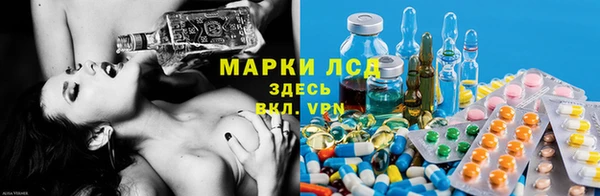 гашик Богородицк
