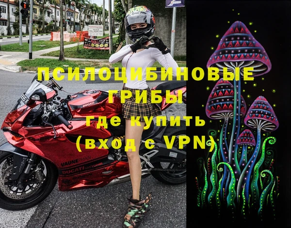 гашик Богородицк