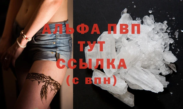 гашик Богородицк