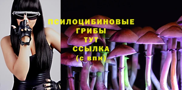 гашик Богородицк