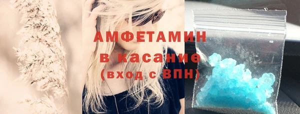 прущие грибы Кукмор